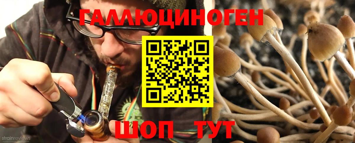 Псилоцибиновые грибы Magic Shrooms Грязи